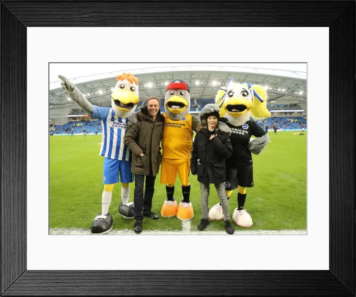 Framed Print : Brighton and Hove Albion vs. West Ham United: A Premier League Clash at the American Express Community Stadium (03FEB18) Framed Print : Brighton and Hove Albion vs. West Ham United: A Premier League Clash at the American Express Community Stadium (03FEB18)