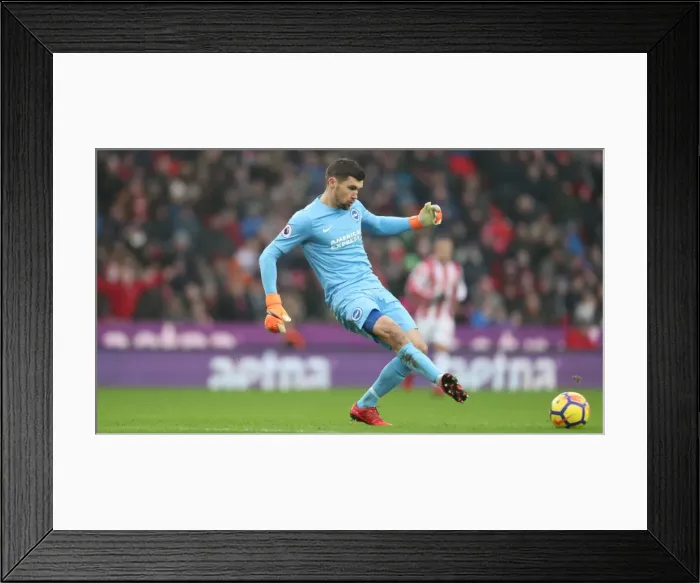 Framed Print : Premier League Showdown: Stoke City vs. Brighton and Hove Albion (10FEB18) Framed Print : Premier League Showdown: Stoke City vs. Brighton and Hove Albion (10FEB18)