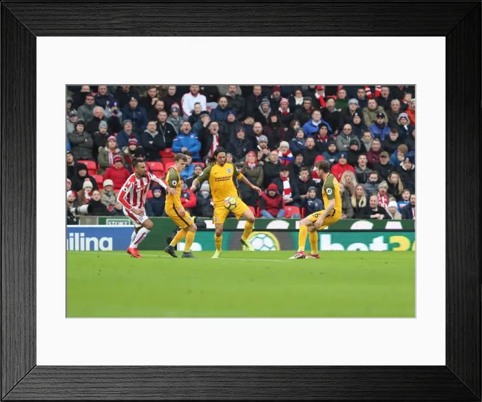Framed Print : Leicester City v Brighton and Hove Albion Premier League 19AUG17