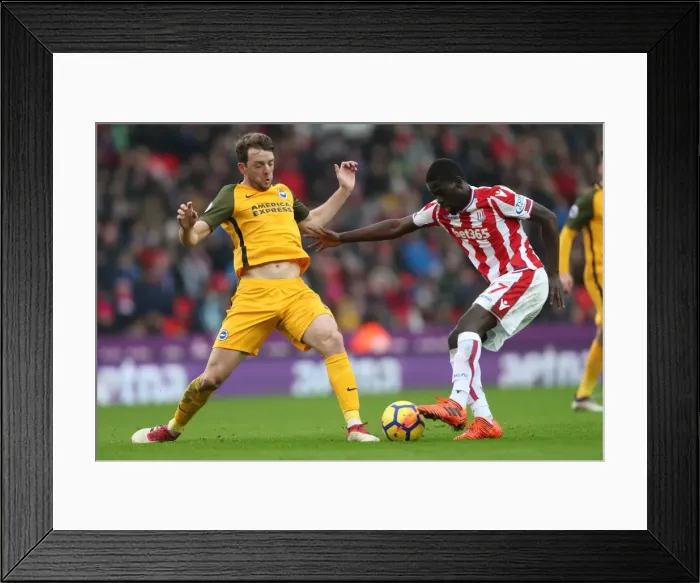 Framed Print : Premier League Showdown: Stoke City vs. Brighton and Hove Albion (10FEB18) Framed Print : Premier League Showdown: Stoke City vs. Brighton and Hove Albion (10FEB18)