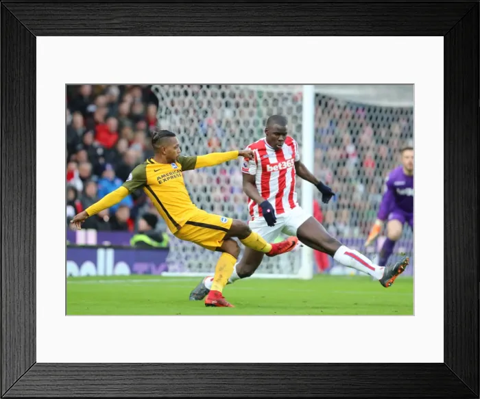 Framed Print : 10FEB18: Premier League Showdown - Stoke City vs. Brighton and Hove Albion at The Bet365 Stadium Framed Print : 10FEB18: Premier League Showdown - Stoke City vs. Brighton and Hove Albion at The Bet365 Stadium