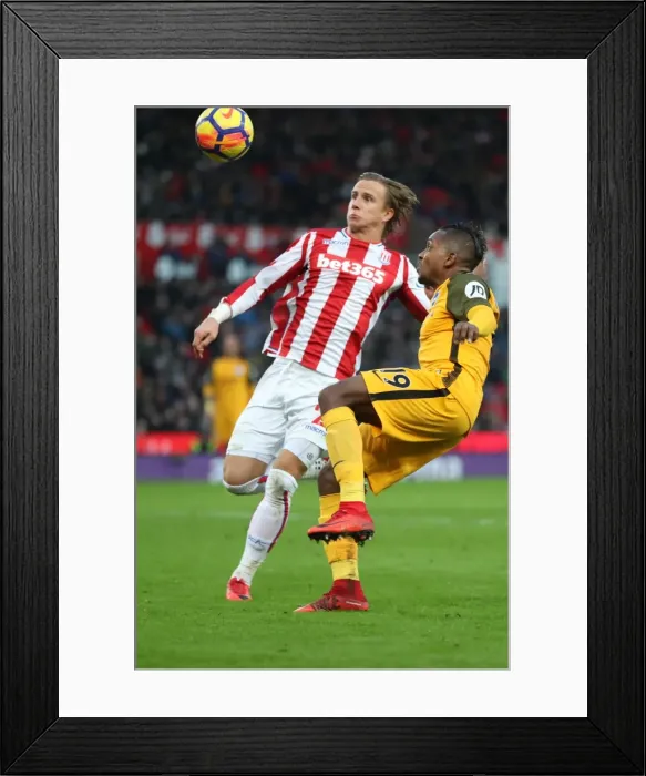 Framed Print : Premier League Showdown: Stoke City vs. Brighton and Hove Albion (10FEB18) Framed Print : Premier League Showdown: Stoke City vs. Brighton and Hove Albion (10FEB18)