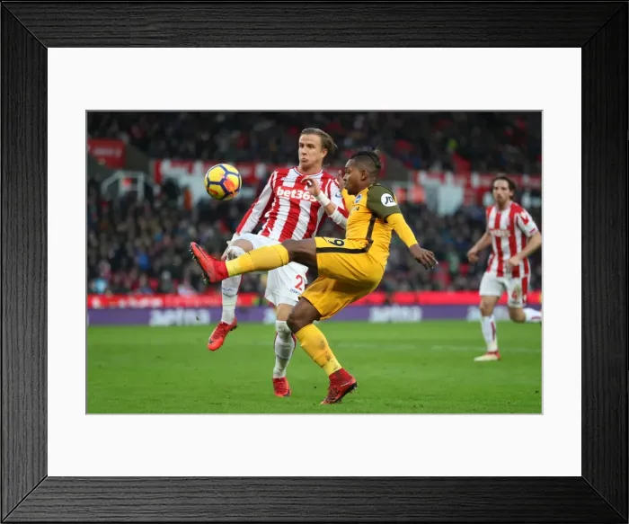Framed Print : 10FEB18: Premier League Clash - Stoke City vs. Brighton and Hove Albion Framed Print : 10FEB18: Premier League Clash - Stoke City vs. Brighton and Hove Albion