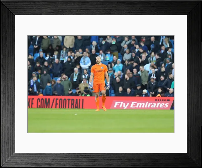 Framed Print : Brighton and Hove Albion vs. Coventry City: FA Cup 5th Round Battle at American Express Community Stadium (17FEB18) Framed Print : Brighton and Hove Albion vs. Coventry City: FA Cup 5th Round Battle at American Express Community Stadium (17FEB18)