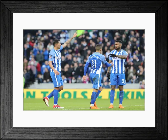 Framed Print : Brighton and Hove Albion vs. Coventry City: FA Cup 5th Round Battle at American Express Community Stadium (17FEB18) Framed Print : Brighton and Hove Albion vs. Coventry City: FA Cup 5th Round Battle at American Express Community Stadium (17FEB18)