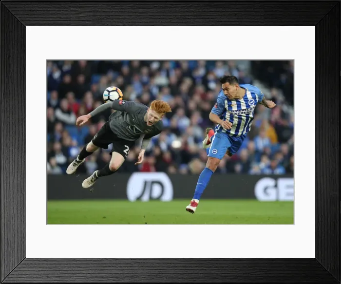 Framed Print : Brighton and Hove Albion vs. Coventry City: FA Cup 5th Round Battle at the American Express Community Stadium (17FEB18) Framed Print : Brighton and Hove Albion vs. Coventry City: FA Cup 5th Round Battle at the American Express Community Stadium (17FEB18)