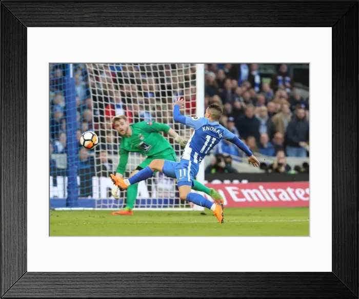 Framed Print : Brighton and Hove Albion vs. Coventry City: FA Cup 5th Round Battle at American Express Community Stadium (17FEB18) Framed Print : Brighton and Hove Albion vs. Coventry City: FA Cup 5th Round Battle at American Express Community Stadium (17FEB18)