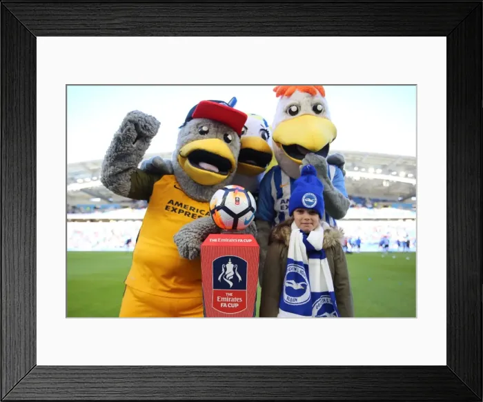 Framed Print : Brighton and Hove Albion vs. Coventry City: FA Cup 5th Round Battle at American Express Community Stadium (17FEB18) Framed Print : Brighton and Hove Albion vs. Coventry City: FA Cup 5th Round Battle at American Express Community Stadium (17FEB18)