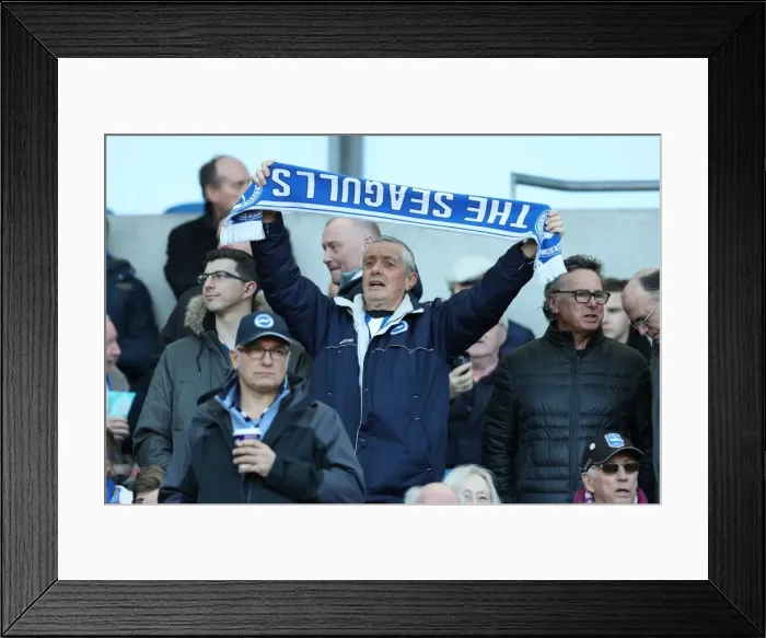 Framed Print : Brighton and Hove Albion vs. Coventry City: FA Cup 5th Round Battle at American Express Community Stadium (17FEB18) Framed Print : Brighton and Hove Albion vs. Coventry City: FA Cup 5th Round Battle at American Express Community Stadium (17FEB18)