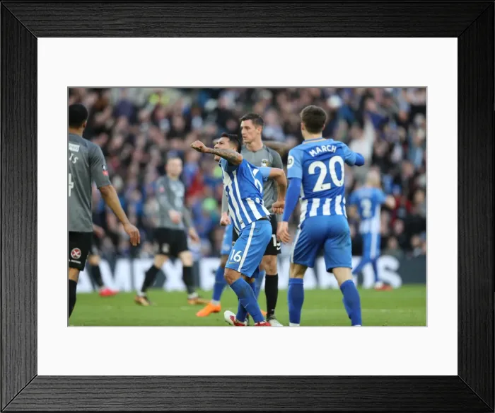 Framed Print : Brighton and Hove Albion vs. Coventry City: FA Cup 5th Round Battle at American Express Community Stadium (17FEB18) Framed Print : Brighton and Hove Albion vs. Coventry City: FA Cup 5th Round Battle at American Express Community Stadium (17FEB18)