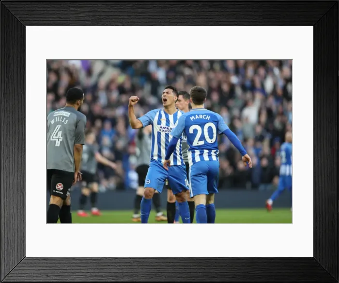Framed Print : Brighton and Hove Albion vs. Coventry City: FA Cup 5th Round Battle at the American Express Community Stadium (17FEB18) Framed Print : Brighton and Hove Albion vs. Coventry City: FA Cup 5th Round Battle at the American Express Community Stadium (17FEB18)