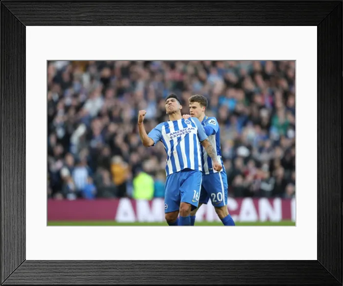 Framed Print : Brighton and Hove Albion vs. Coventry City: FA Cup 5th Round Battle at American Express Community Stadium (17FEB18) Framed Print : Brighton and Hove Albion vs. Coventry City: FA Cup 5th Round Battle at American Express Community Stadium (17FEB18)