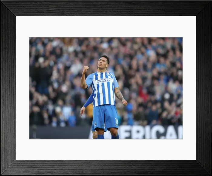 Framed Print : Brighton and Hove Albion vs Coventry City: FA Cup 5th Round Battle at the American Express Community Stadium (17FEB18) Framed Print : Brighton and Hove Albion vs Coventry City: FA Cup 5th Round Battle at the American Express Community Stadium (17FEB18)