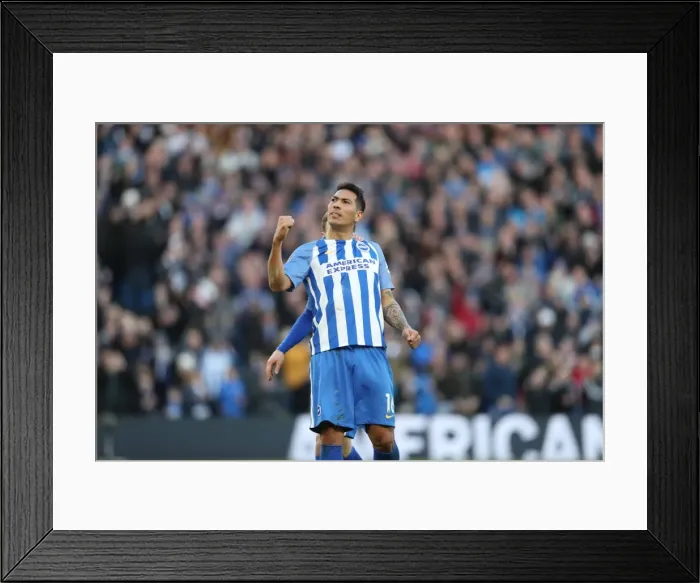 Framed Print : Brighton and Hove Albion vs. Coventry City: FA Cup 5th Round Battle at American Express Community Stadium (17FEB18) Framed Print : Brighton and Hove Albion vs. Coventry City: FA Cup 5th Round Battle at American Express Community Stadium (17FEB18)