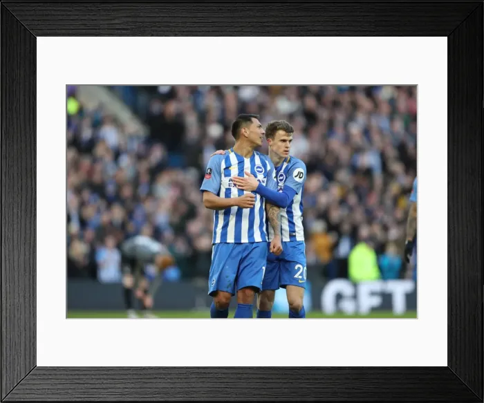 Framed Print : Brighton and Hove Albion vs. Coventry City: FA Cup 5th Round Battle at American Express Community Stadium (17FEB18) Framed Print : Brighton and Hove Albion vs. Coventry City: FA Cup 5th Round Battle at American Express Community Stadium (17FEB18)