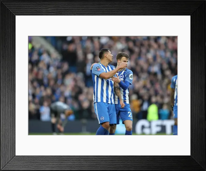 Framed Print : Brighton and Hove Albion vs. Coventry City: FA Cup 5th Round Battle at American Express Community Stadium (17FEB18) Framed Print : Brighton and Hove Albion vs. Coventry City: FA Cup 5th Round Battle at American Express Community Stadium (17FEB18)