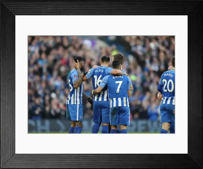 Framed Print : Brighton and Hove Albion vs. Coventry City: FA Cup 5th Round Battle at American Express Community Stadium (17FEB18) Framed Print : Brighton and Hove Albion vs. Coventry City: FA Cup 5th Round Battle at American Express Community Stadium (17FEB18)
