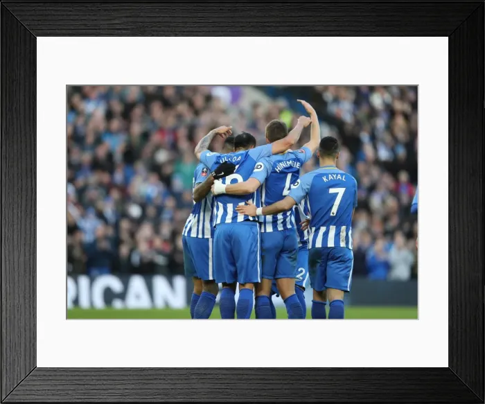 Framed Print : Brighton and Hove Albion vs. Coventry City: FA Cup 5th Round Battle at the American Express Community Stadium (17FEB18) Framed Print : Brighton and Hove Albion vs. Coventry City: FA Cup 5th Round Battle at the American Express Community Stadium (17FEB18)