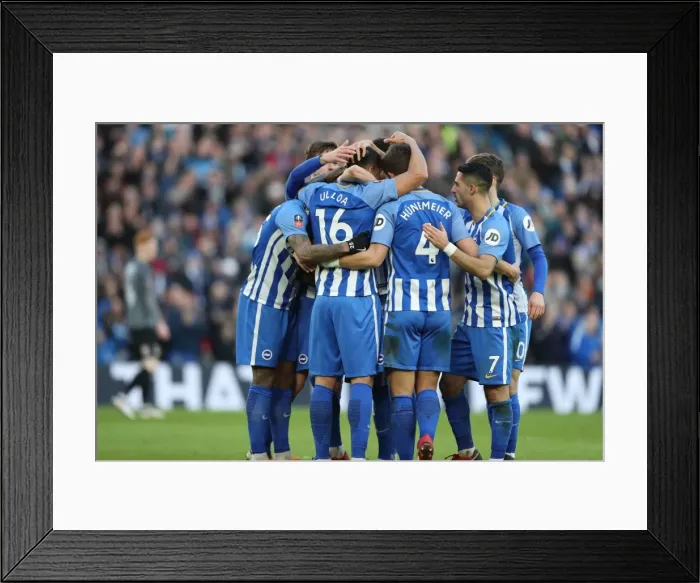 Framed Print : Brighton and Hove Albion vs. Coventry City: FA Cup 5th Round Battle at American Express Community Stadium (17FEB18) Framed Print : Brighton and Hove Albion vs. Coventry City: FA Cup 5th Round Battle at American Express Community Stadium (17FEB18)