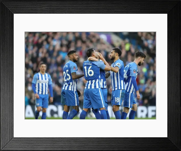 Framed Print : Brighton and Hove Albion vs. Coventry City: FA Cup 5th Round Battle at American Express Community Stadium (17FEB18) Framed Print : Brighton and Hove Albion vs. Coventry City: FA Cup 5th Round Battle at American Express Community Stadium (17FEB18)