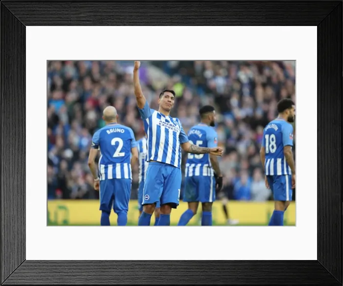 Framed Print : Brighton and Hove Albion vs. Coventry City: FA Cup 5th Round Battle at American Express Community Stadium (17FEB18) Framed Print : Brighton and Hove Albion vs. Coventry City: FA Cup 5th Round Battle at American Express Community Stadium (17FEB18)