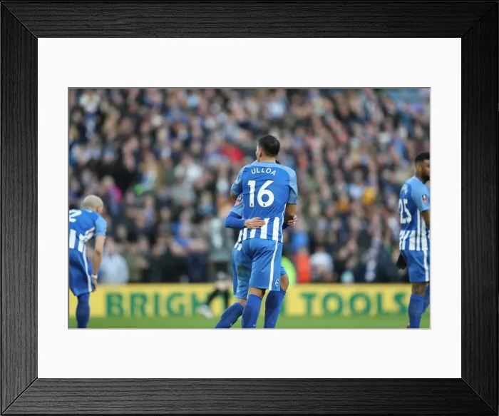 Framed Print : Brighton and Hove Albion vs. Coventry City: FA Cup 5th Round Battle at the American Express Community Stadium (17FEB18) Framed Print : Brighton and Hove Albion vs. Coventry City: FA Cup 5th Round Battle at the American Express Community Stadium (17FEB18)