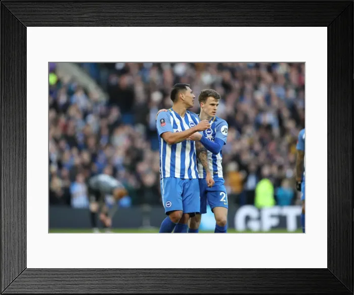 Framed Print : Brighton and Hove Albion vs. Coventry City: FA Cup 5th Round Battle at American Express Community Stadium (17FEB18) Framed Print : Brighton and Hove Albion vs. Coventry City: FA Cup 5th Round Battle at American Express Community Stadium (17FEB18)