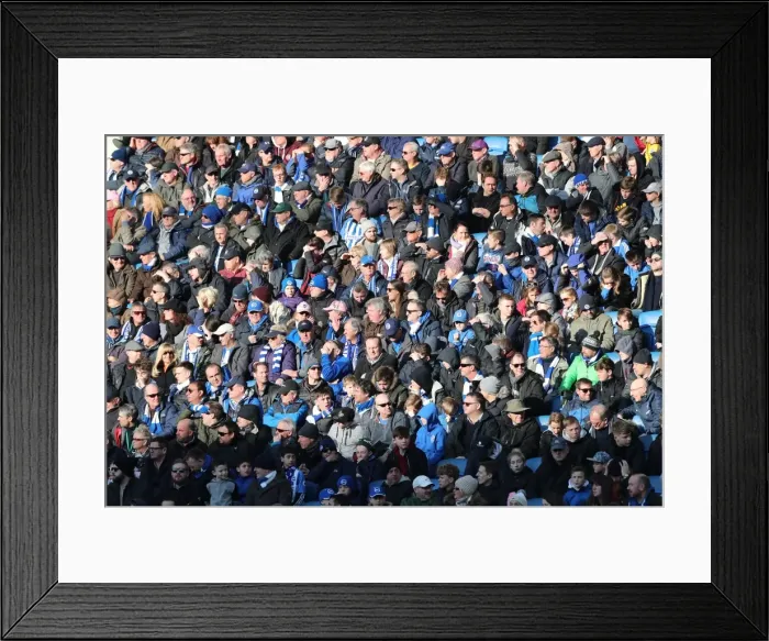 Framed Print : Intense Premier League Showdown: Brighton & Hove Albion vs Swansea City - 24th February 2018 Framed Print : Intense Premier League Showdown: Brighton & Hove Albion vs Swansea City - 24th February 2018