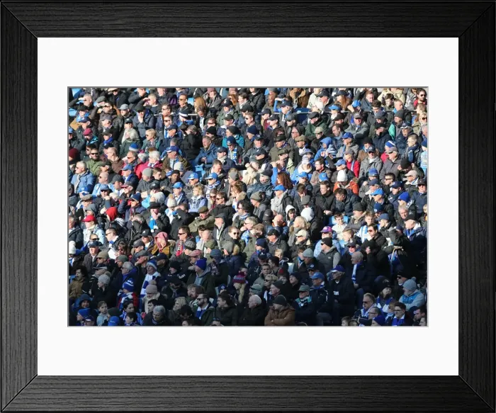 Framed Print : Brighton and Hove Albion vs Swansea City: A Premier League Clash at American Express Community Stadium (24FEB18) Framed Print : Brighton and Hove Albion vs Swansea City: A Premier League Clash at American Express Community Stadium (24FEB18)