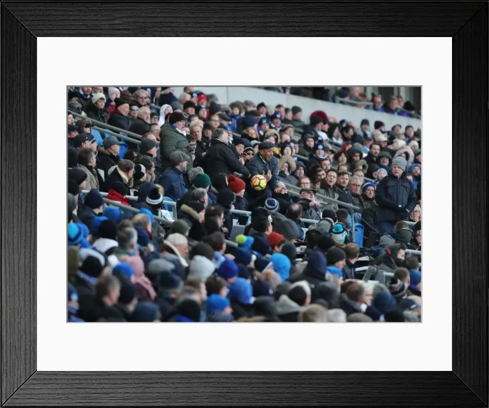 Framed Print : Intense Premier League Showdown: Brighton & Hove Albion vs Swansea City - 24th February 2018 Framed Print : Intense Premier League Showdown: Brighton & Hove Albion vs Swansea City - 24th February 2018