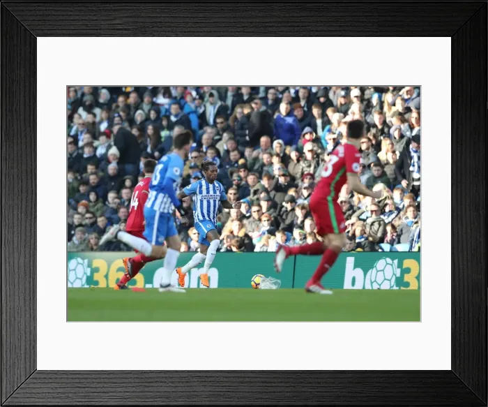 Framed Print : Intense Premier League Showdown: Brighton & Hove Albion vs Swansea City - 24th February 2018 Framed Print : Intense Premier League Showdown: Brighton & Hove Albion vs Swansea City - 24th February 2018