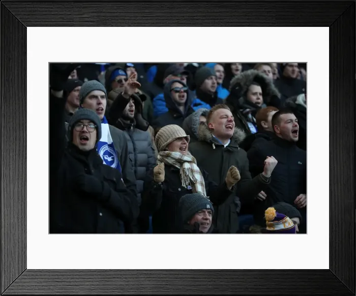 Framed Print : Intense Premier League Showdown: Brighton & Hove Albion vs Swansea City (24FEB18) Framed Print : Intense Premier League Showdown: Brighton & Hove Albion vs Swansea City (24FEB18)