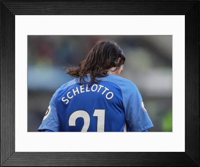 Framed Print : Intense Premier League Showdown: Brighton & Hove Albion vs Swansea City - 24th February 2018 Framed Print : Intense Premier League Showdown: Brighton & Hove Albion vs Swansea City - 24th February 2018