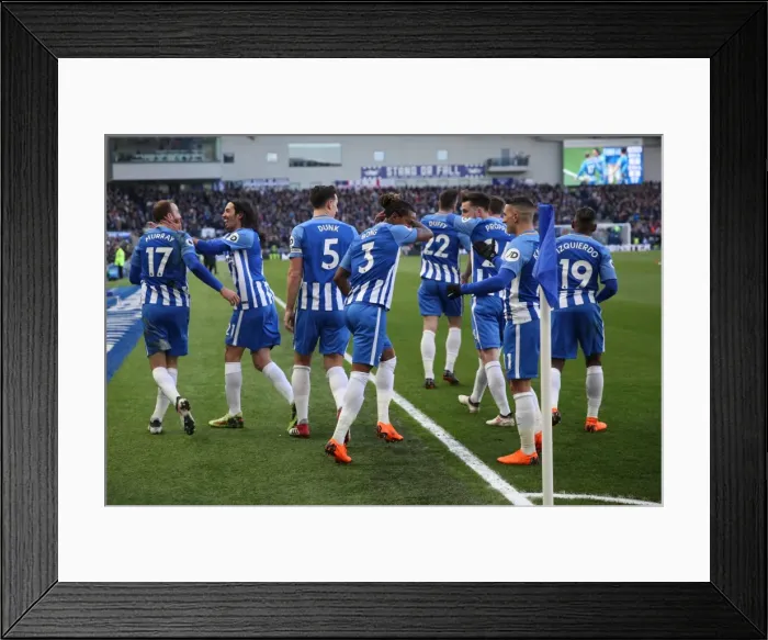 Framed Print : Intense Premier League Showdown: Brighton & Hove Albion vs Swansea City - 24th February 2018 Framed Print : Intense Premier League Showdown: Brighton & Hove Albion vs Swansea City - 24th February 2018