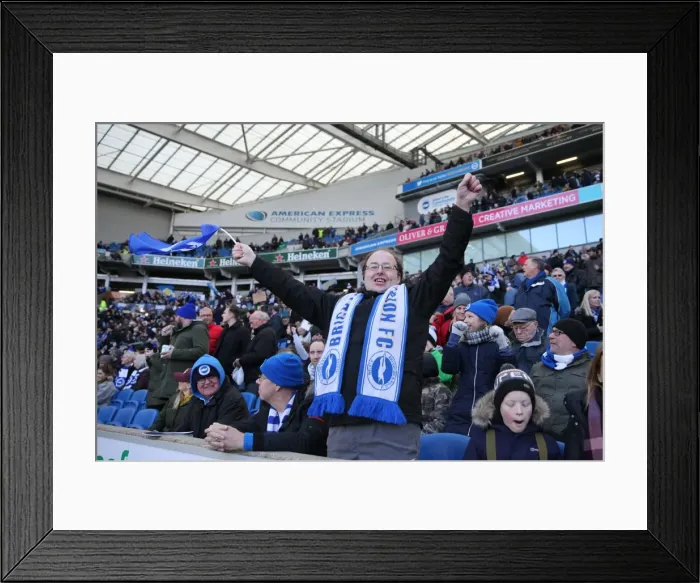 Framed Print : Intense Premier League Showdown: Brighton & Hove Albion vs Swansea City (24FEB18) Framed Print : Intense Premier League Showdown: Brighton & Hove Albion vs Swansea City (24FEB18)