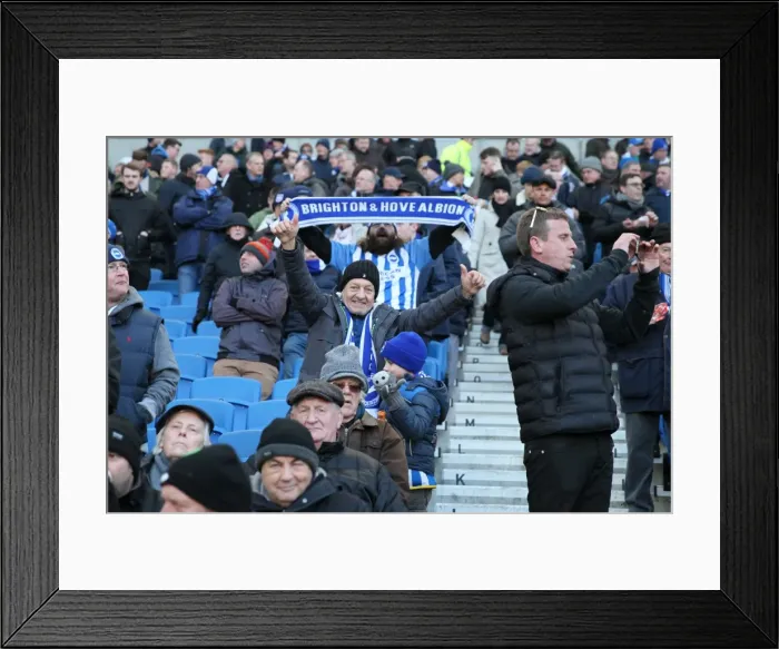 Framed Print : Intense Premier League Showdown: Brighton & Hove Albion vs Swansea City - 24th February 2018 Framed Print : Intense Premier League Showdown: Brighton & Hove Albion vs Swansea City - 24th February 2018