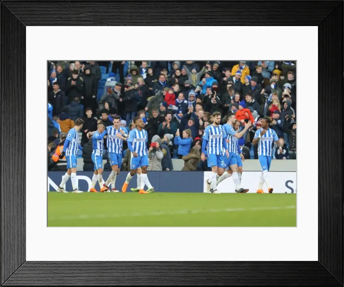 Framed Print : Brighton and Hove Albion vs Swansea City: A Premier League Clash at American Express Community Stadium (24FEB18) Framed Print : Brighton and Hove Albion vs Swansea City: A Premier League Clash at American Express Community Stadium (24FEB18)