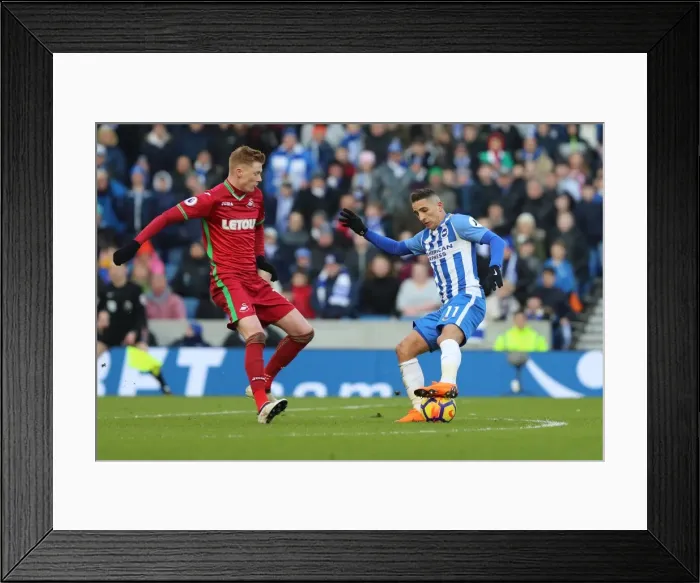 Framed Print : Brighton and Hove Albion vs Swansea City: A Premier League Clash at American Express Community Stadium (24FEB18) Framed Print : Brighton and Hove Albion vs Swansea City: A Premier League Clash at American Express Community Stadium (24FEB18)