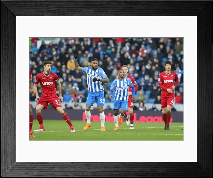 Framed Print : Brighton and Hove Albion vs Swansea City: A Premier League Clash at American Express Community Stadium (24FEB18) Framed Print : Brighton and Hove Albion vs Swansea City: A Premier League Clash at American Express Community Stadium (24FEB18)