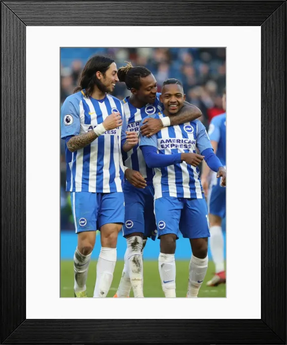 Framed Print : Premier League Showdown: Brighton & Hove Albion vs Swansea City (24FEB18) - American Express Community Stadium