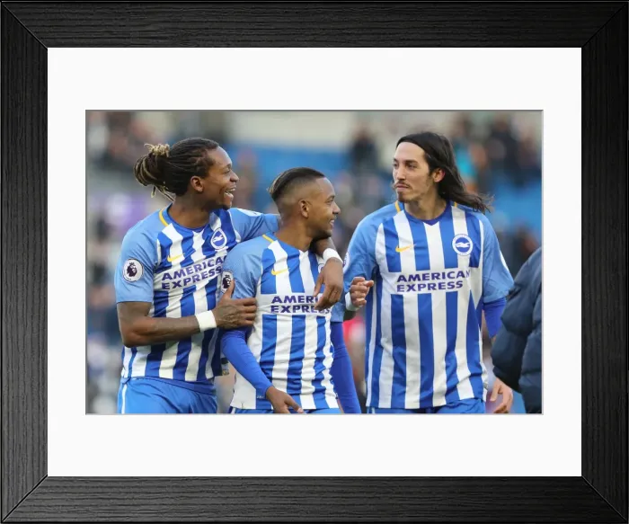 Framed Print : Brighton and Hove Albion vs Swansea City: A Premier League Battle at American Express Community Stadium - February 2018 Framed Print : Brighton and Hove Albion vs Swansea City: A Premier League Battle at American Express Community Stadium - February 2018
