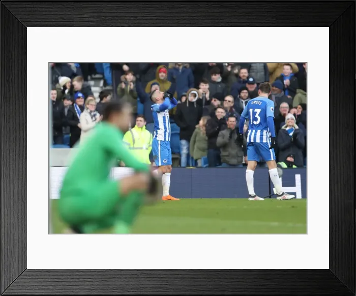 Framed Print : Brighton and Hove Albion vs Swansea City: A Premier League Battle at American Express Community Stadium - February 2018 Framed Print : Brighton and Hove Albion vs Swansea City: A Premier League Battle at American Express Community Stadium - February 2018