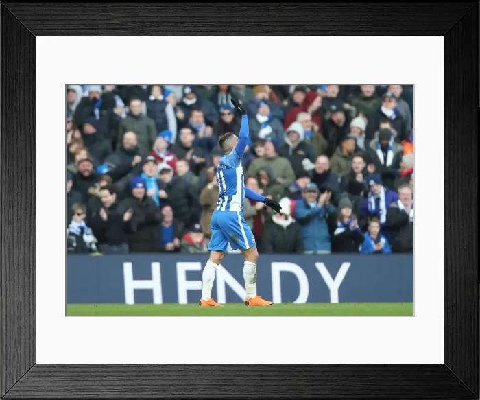 Framed Print : Premier League Showdown: Brighton & Hove Albion vs Swansea City (24FEB18) - American Express Community Stadium Framed Print : Premier League Showdown: Brighton & Hove Albion vs Swansea City (24FEB18) - American Express Community Stadium
