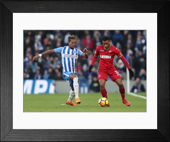 Framed Print : Brighton and Hove Albion vs Swansea City: Premier League Showdown at American Express Community Stadium (24Feb18)