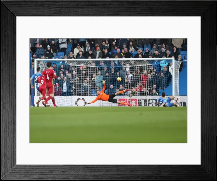 Framed Print : Intense Premier League Showdown: Brighton & Hove Albion vs Swansea City (24FEB18) Framed Print : Intense Premier League Showdown: Brighton & Hove Albion vs Swansea City (24FEB18)