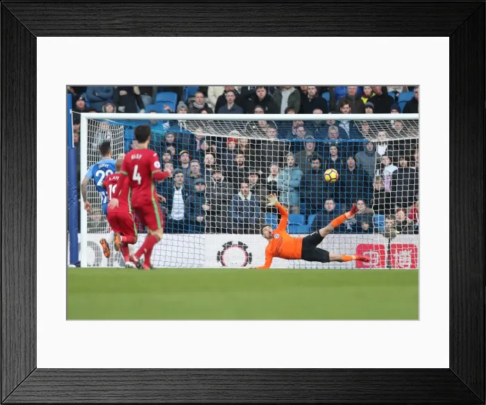 Framed Print : Intense Premier League Showdown: Brighton & Hove Albion vs Swansea City (24FEB18) Framed Print : Intense Premier League Showdown: Brighton & Hove Albion vs Swansea City (24FEB18)