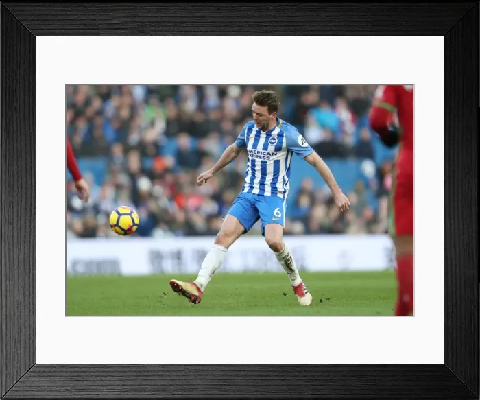 Framed Print : Intense Premier League Showdown: Brighton & Hove Albion vs Swansea City - 24th February 2018 Framed Print : Intense Premier League Showdown: Brighton & Hove Albion vs Swansea City - 24th February 2018