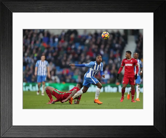Framed Print : Brighton and Hove Albion vs Swansea City: Premier League Battle at American Express Community Stadium (24FEB18) Framed Print : Brighton and Hove Albion vs Swansea City: Premier League Battle at American Express Community Stadium (24FEB18)