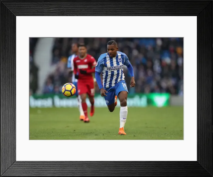 Framed Print : Intense Premier League Showdown: Brighton & Hove Albion vs Swansea City - 24th February 2018 Framed Print : Intense Premier League Showdown: Brighton & Hove Albion vs Swansea City - 24th February 2018