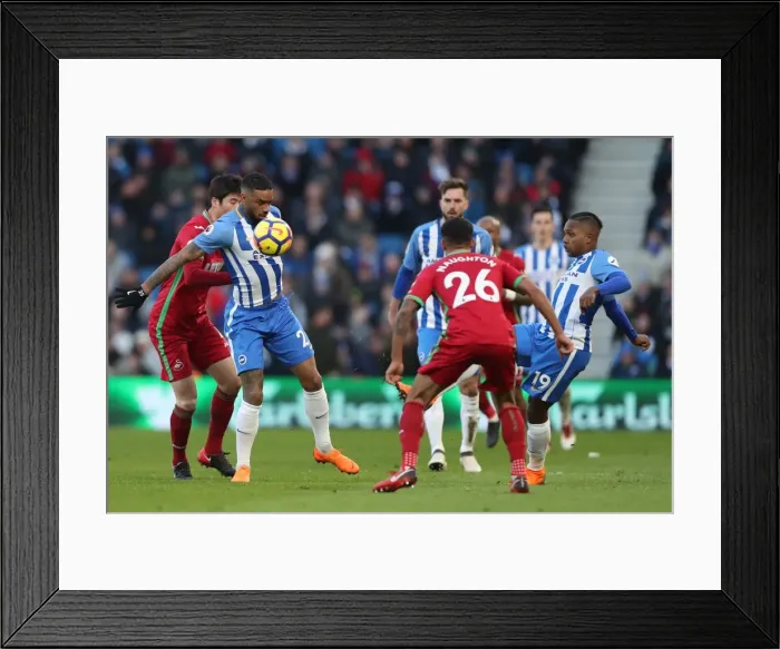 Framed Print : Brighton and Hove Albion vs Swansea City: A Premier League Clash at American Express Community Stadium (24FEB18) Framed Print : Brighton and Hove Albion vs Swansea City: A Premier League Clash at American Express Community Stadium (24FEB18)